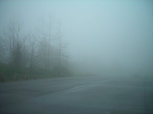 THick Fog.. Be Afraid!